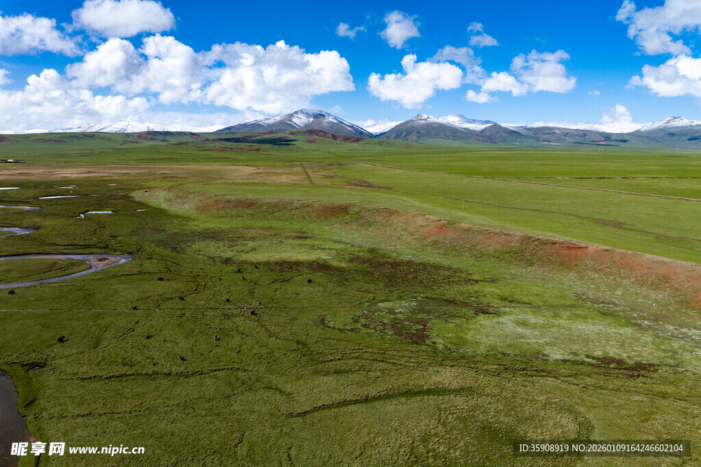 亚洲中国青海玉树治多草原牧场