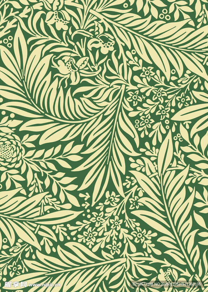 绿色植物叶脉纹理图案