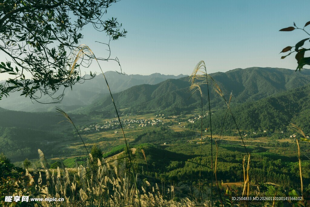 山间美景 绿意盎然的风光