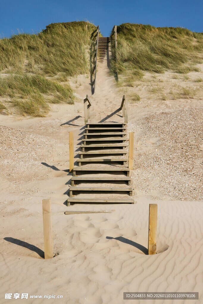 沙丘上的木质阶梯