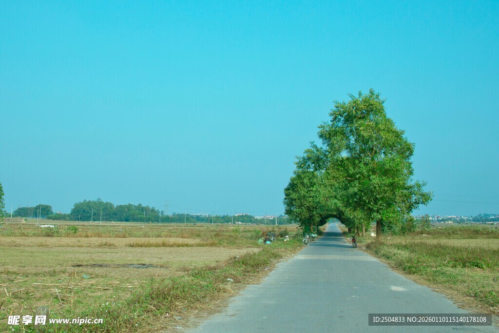 乡间小路 绿意相伴