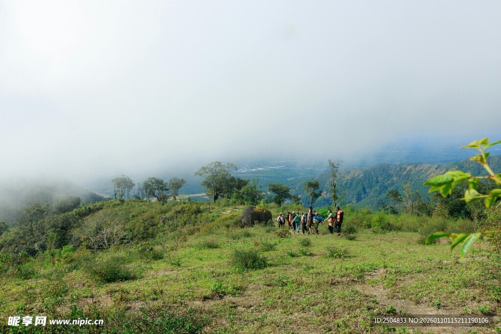 山间云雾缭绕的绿意景致