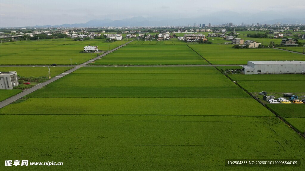航拍绿色广袤农田景观