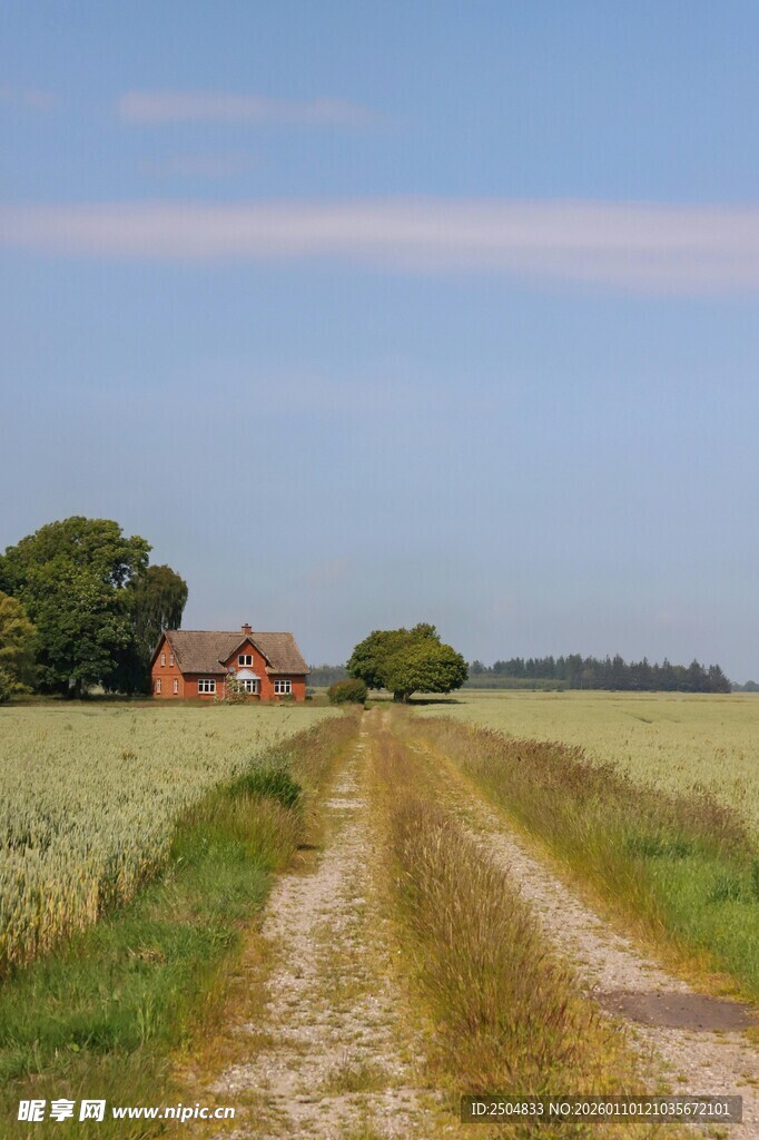 乡村田野间的蜿蜒小路