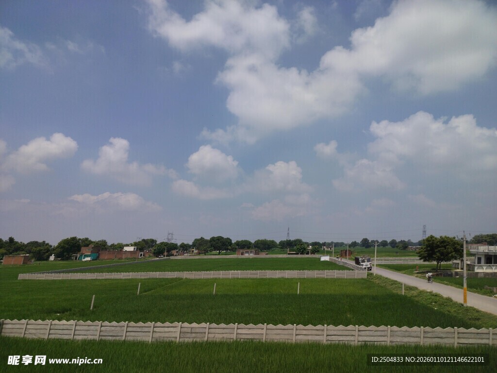 田园风光 广袤绿野与蓝天