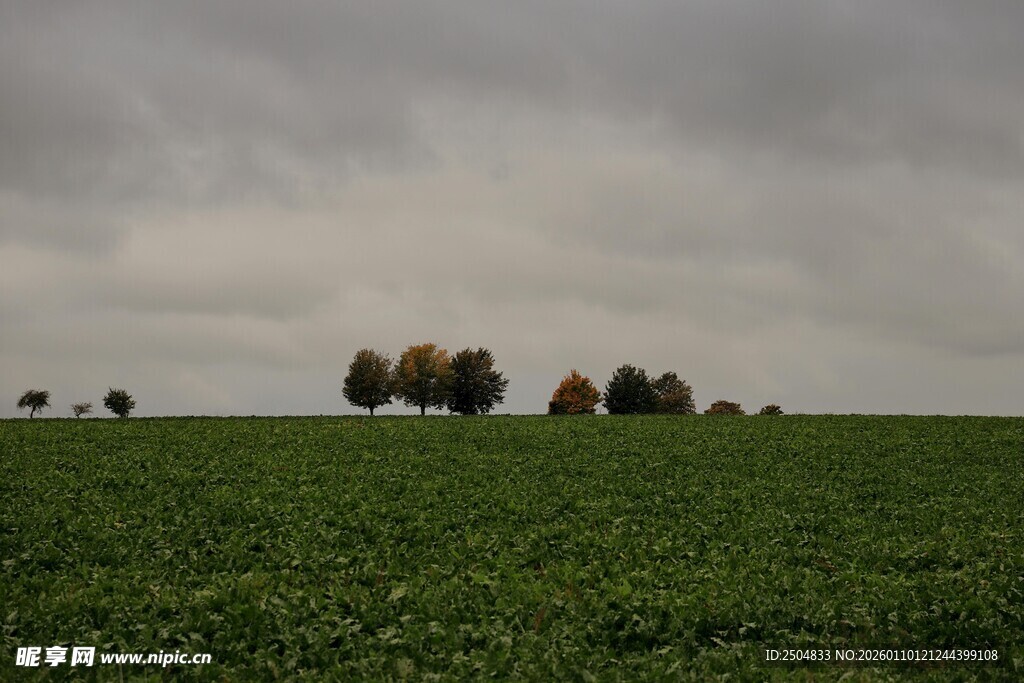 广袤绿野上的 沉天空