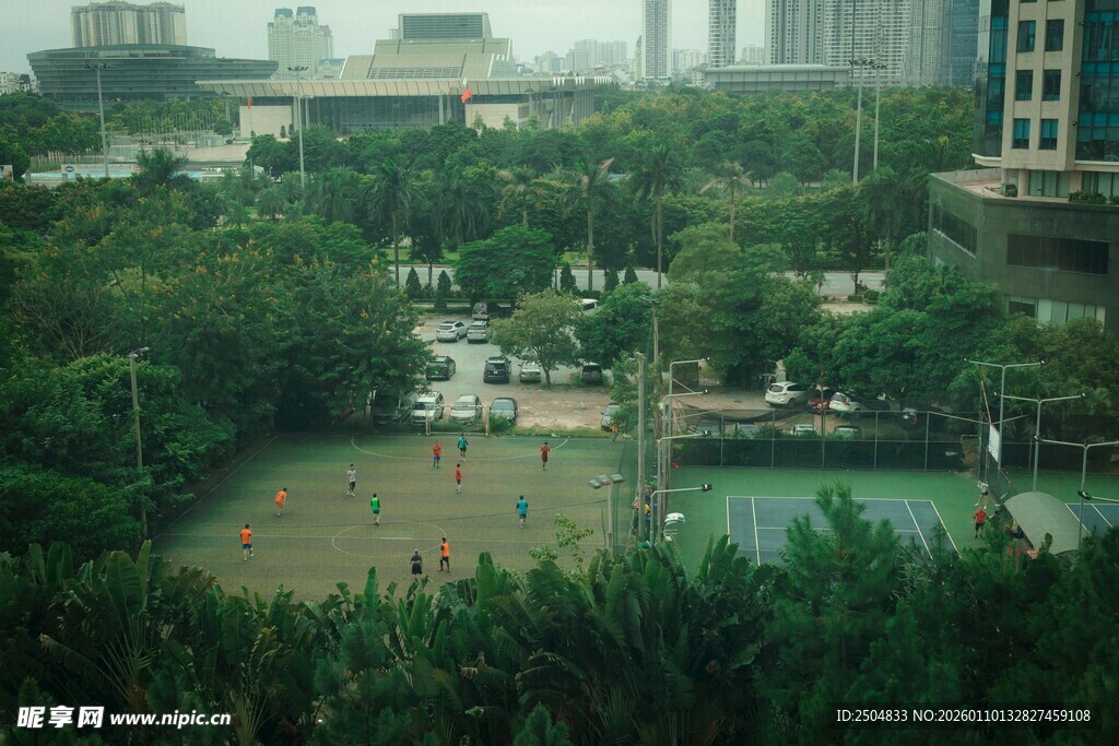 城市中的绿意公园景观