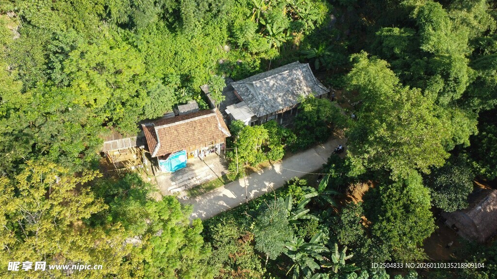 森林中的隐秘小屋