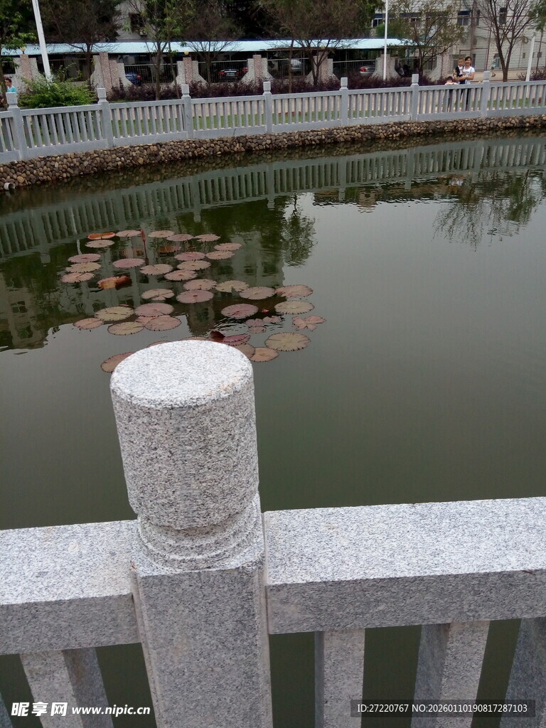 湖边石栏与水中景致