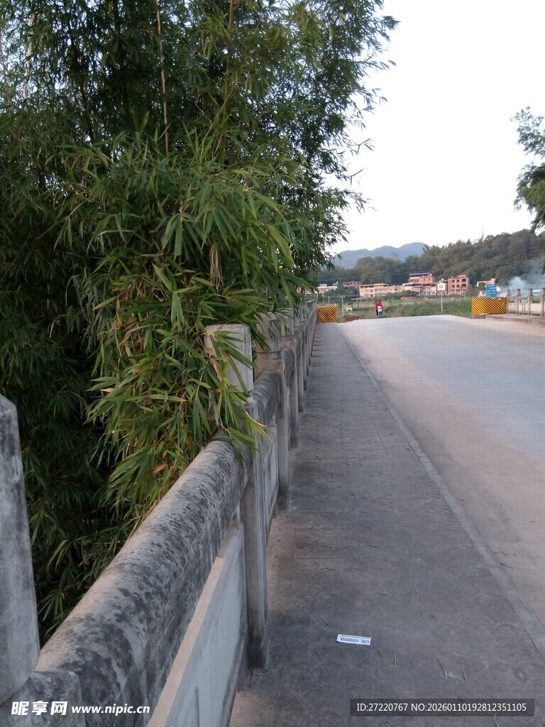 乡村路旁护栏与绿植景观