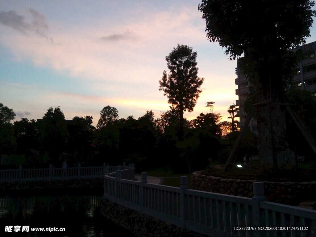 黄昏下的树木与围栏美景
