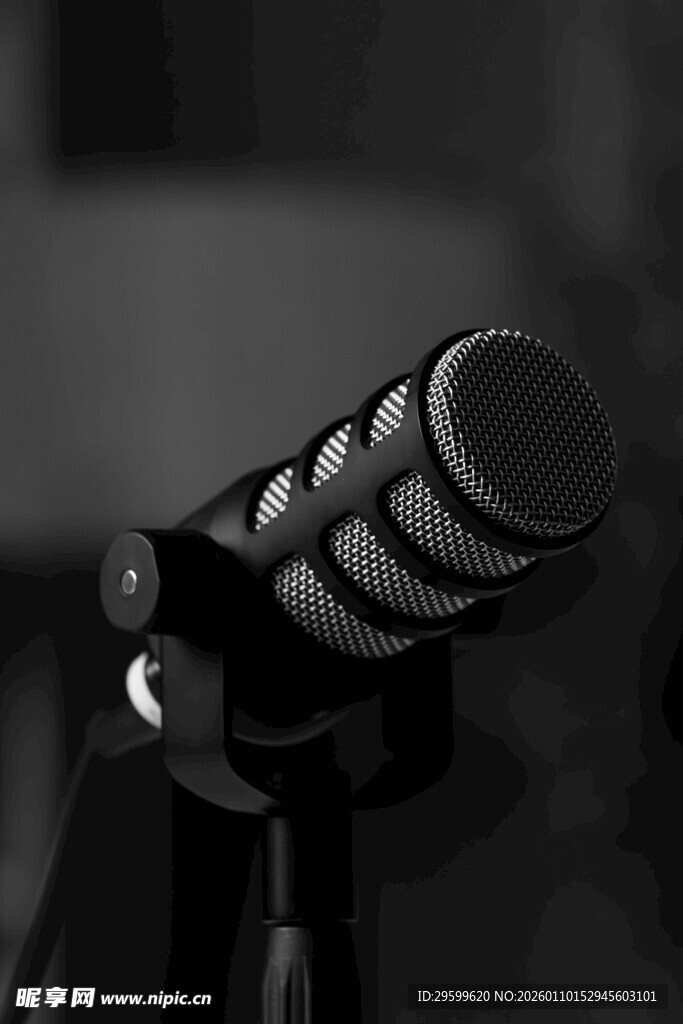 专业麦克风特写
