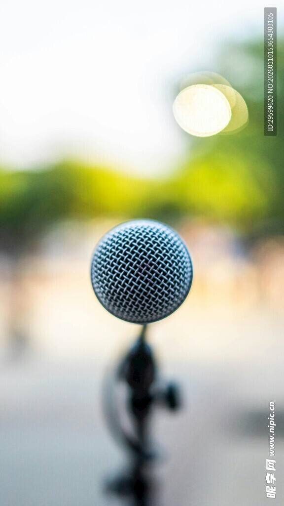 专业麦克风特写