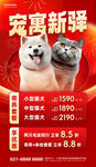 新年宠物寄养红色黄色渐变海报