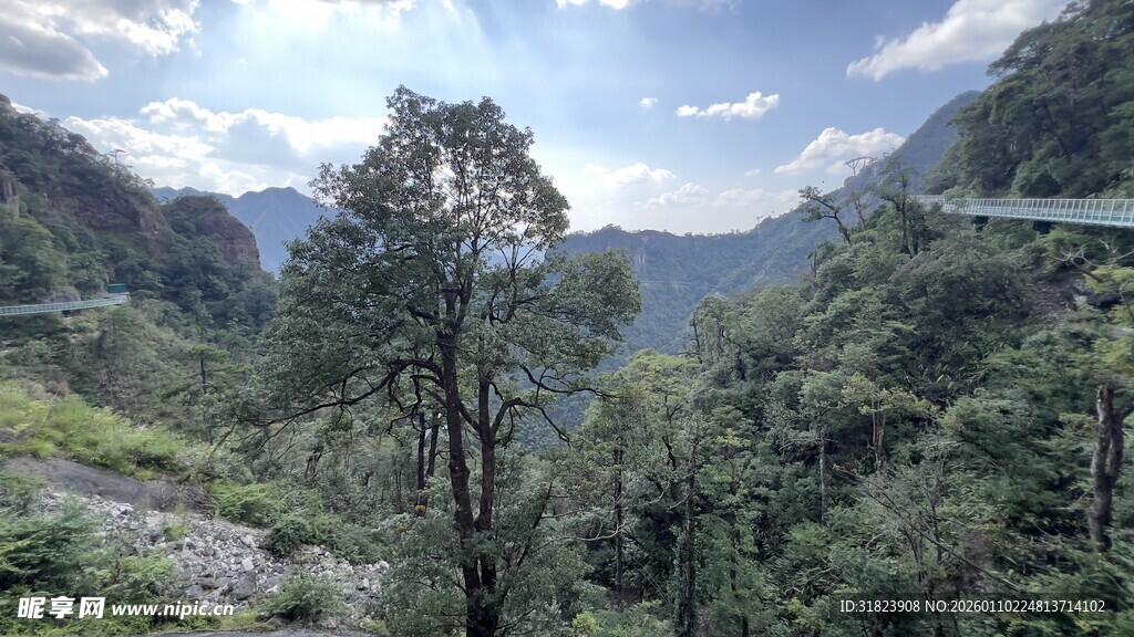 大觉山 山间葱郁树林与远处山峦