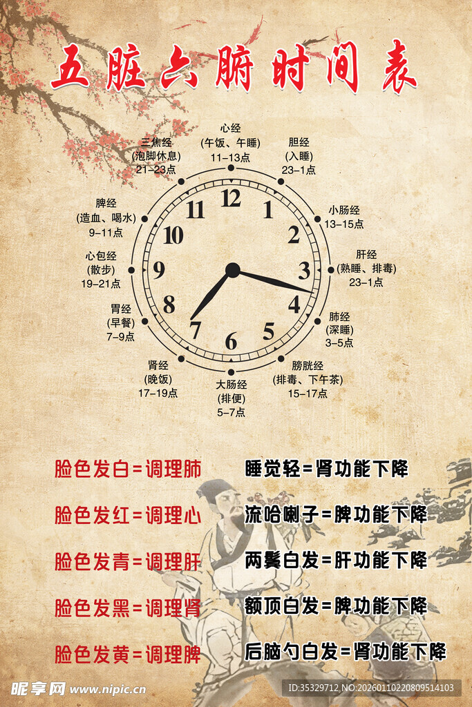 五脏六腑时间