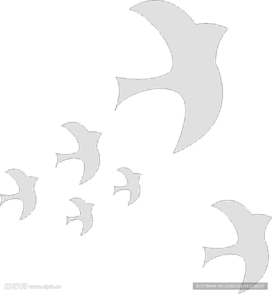 小鸟飞翔 和平鸽