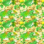 热带植物花卉无缝图案