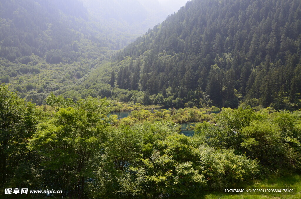 山间绿意盎然的自然景致