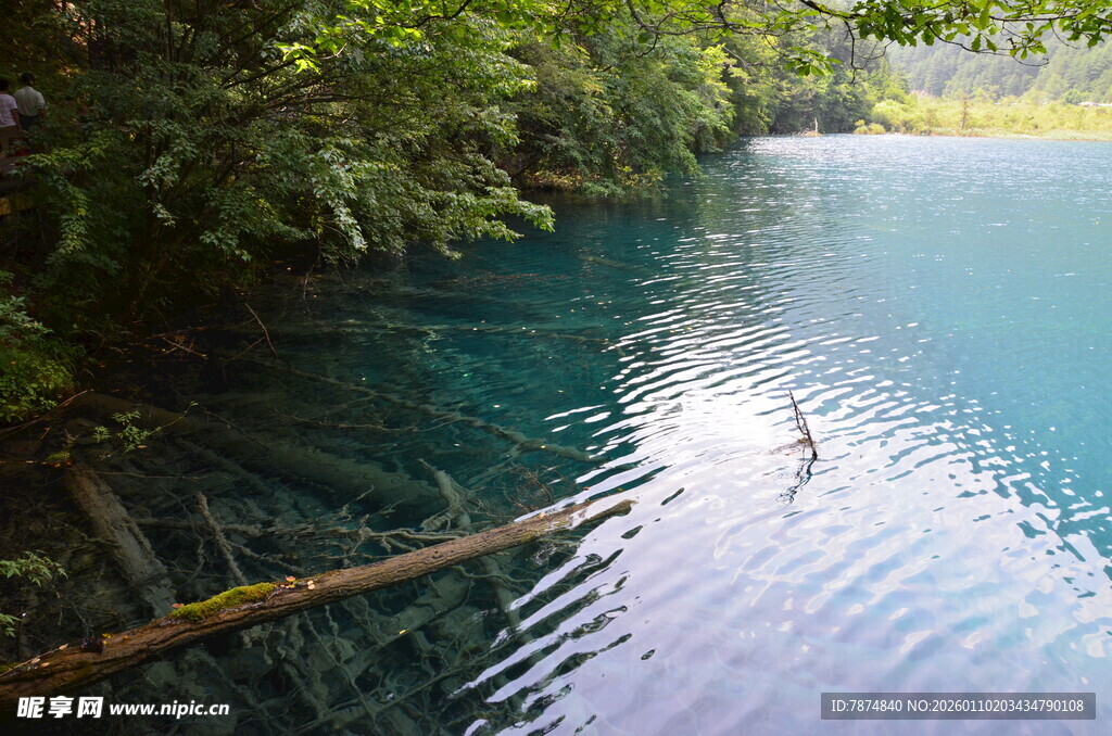 清澈幽蓝的林间水域