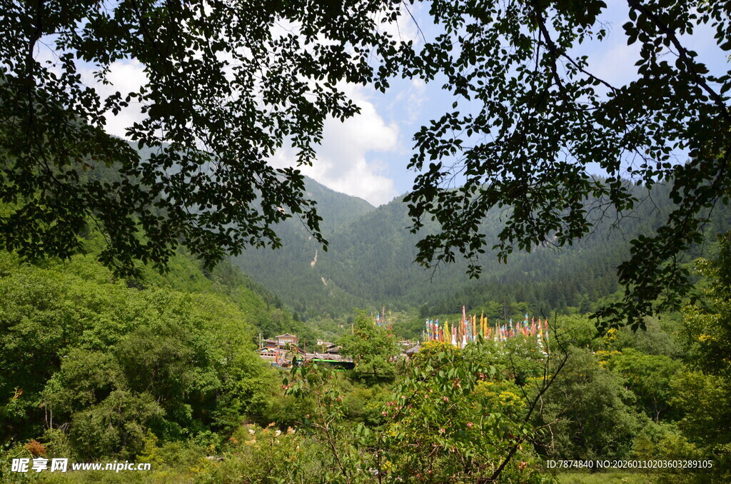 山林间的绿意景致