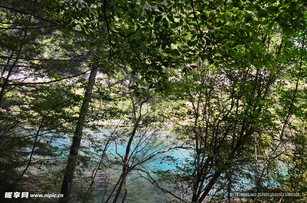 林间幽蓝湖水绿意盎然