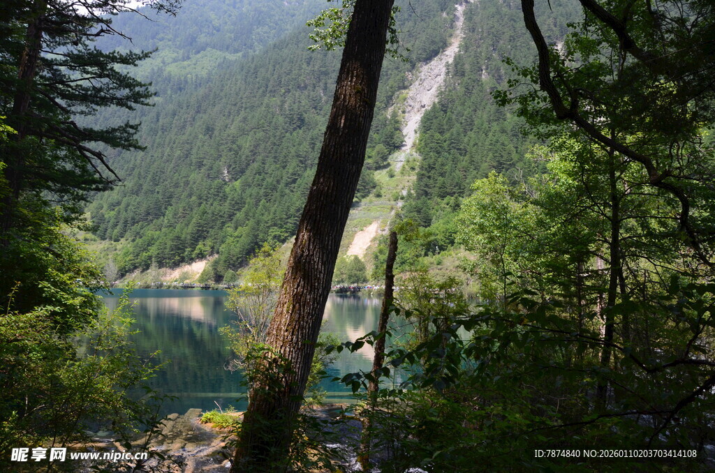 山林间的静谧湖泊美景