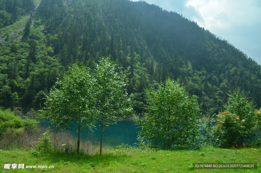 山间碧湖旁的葱郁树林
