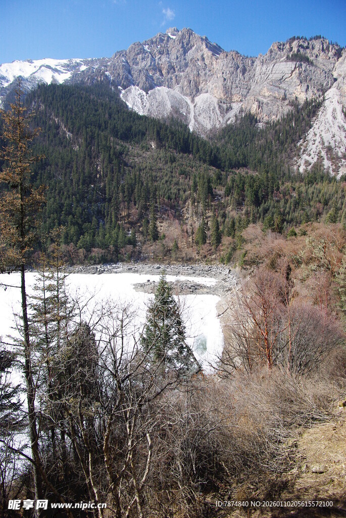 山间雪景与繁茂林木景观