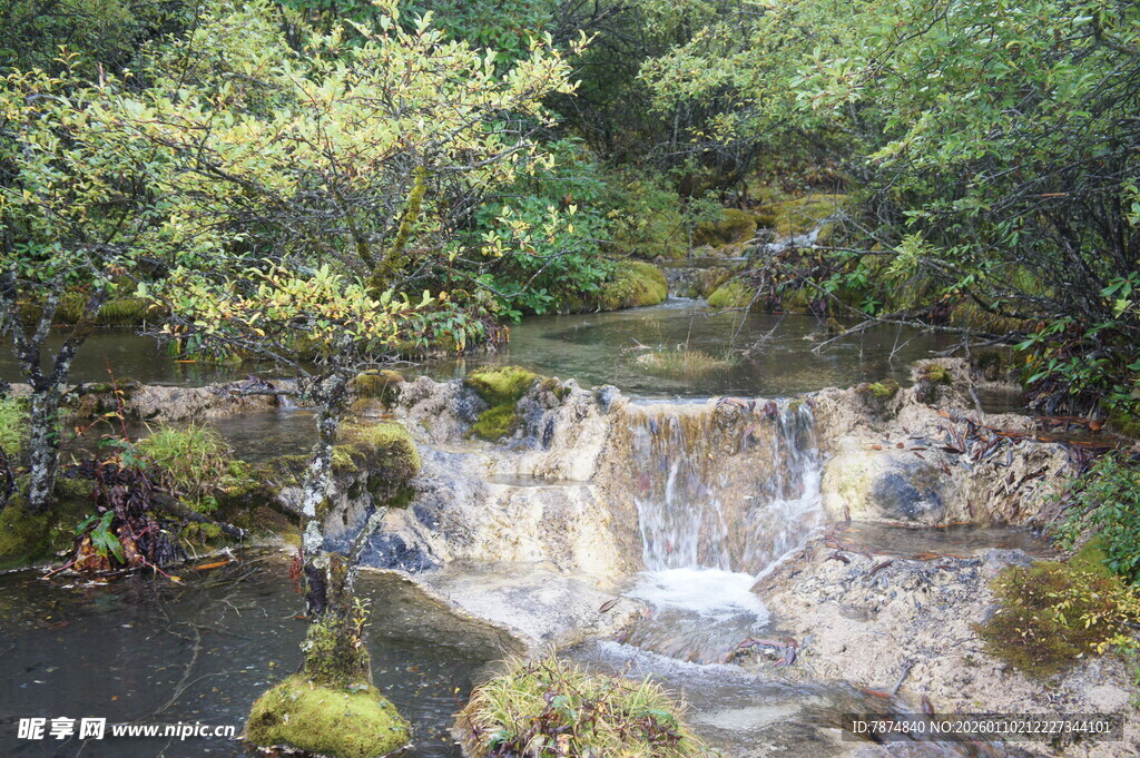 山间小瀑布 绿意环绕美景