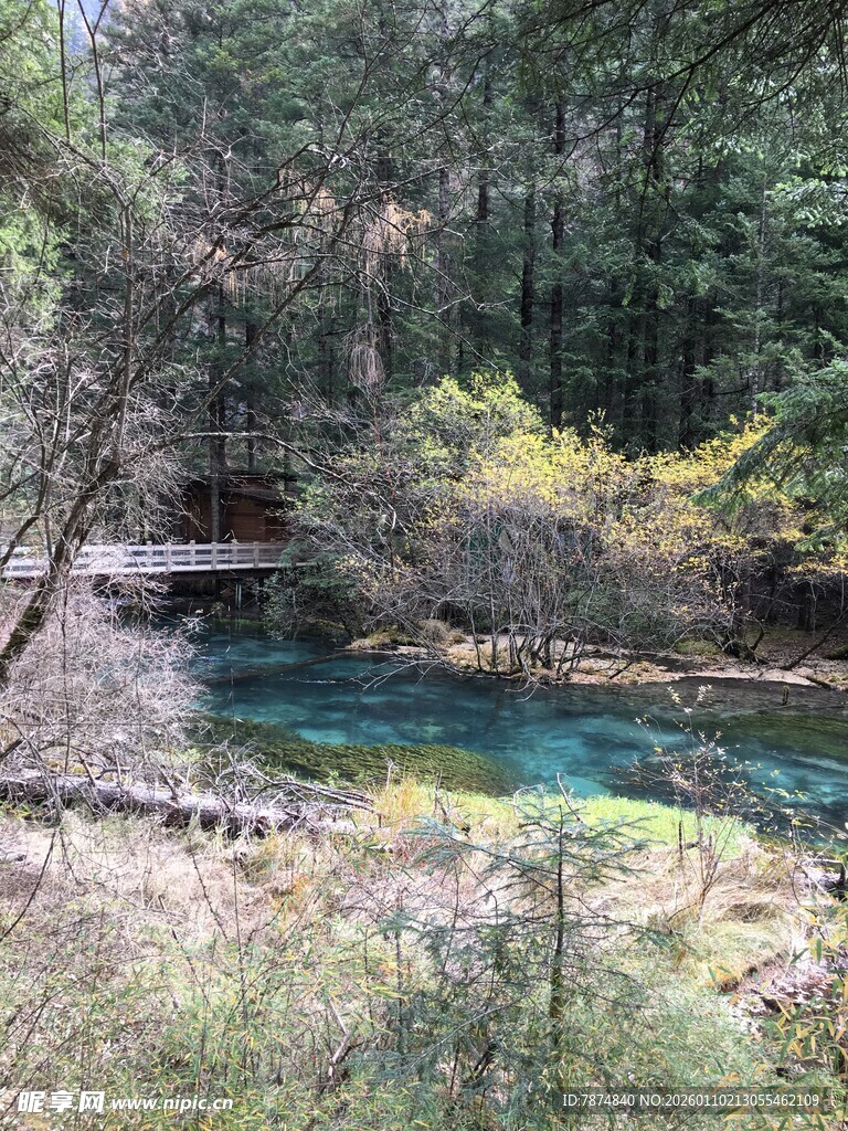 山林间的清澈溪流美景