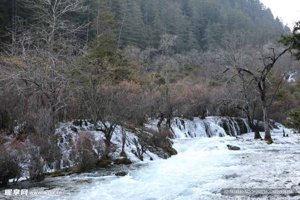 冬日山林中的潺潺溪流