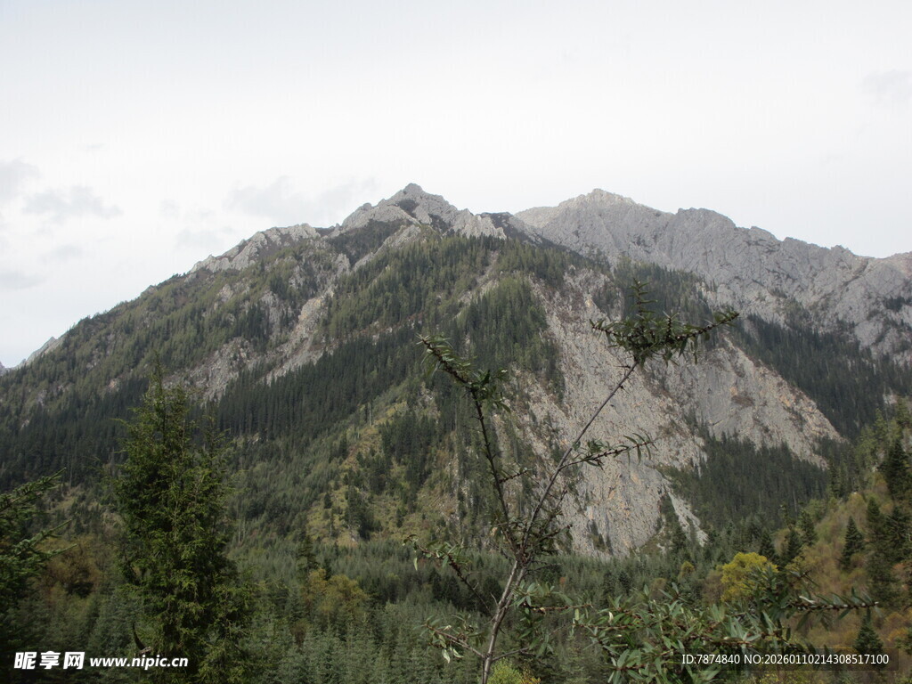 巍峨山峦与葱郁林木