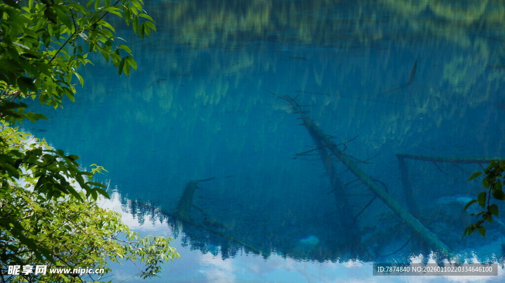 清澈蓝湖倒映葱郁树木