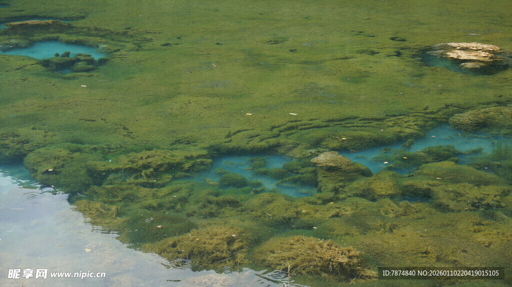 清澈水底的自然景观