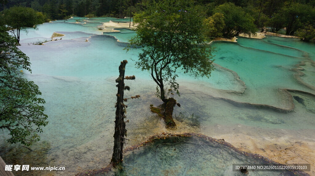 梦幻般的蓝绿色清澈水域