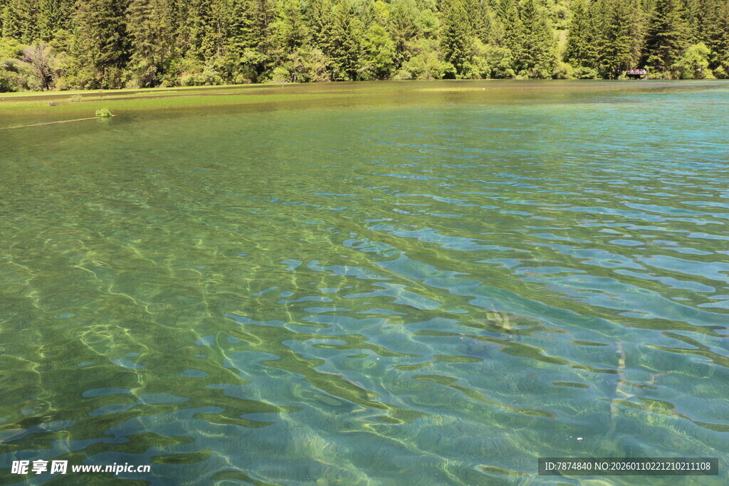 清澈碧绿的湖水与岸边树林