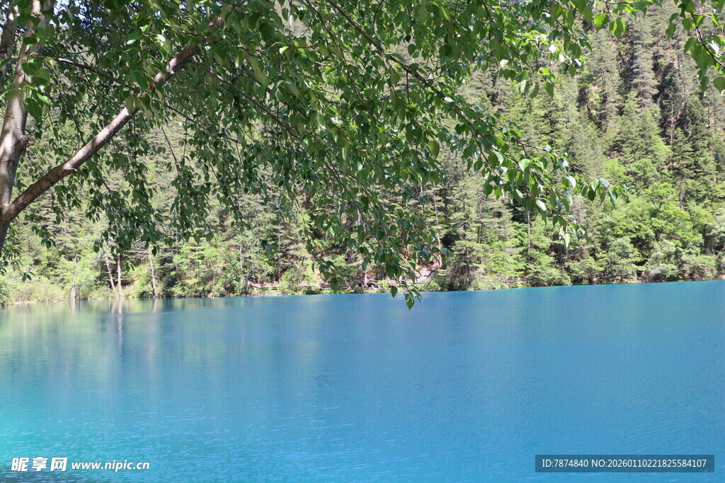 梦幻蓝湖 林间静谧美景
