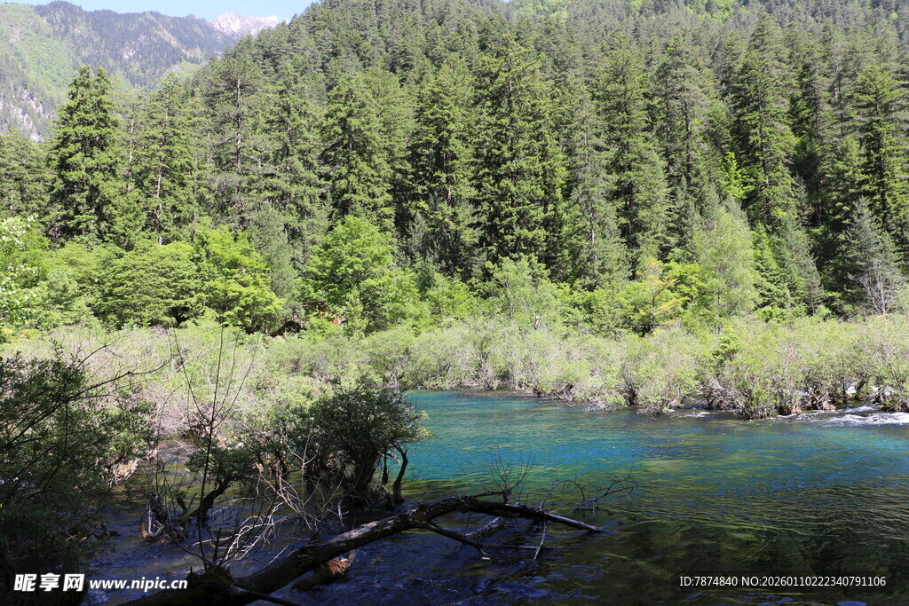 山间幽蓝河流与葱郁林木