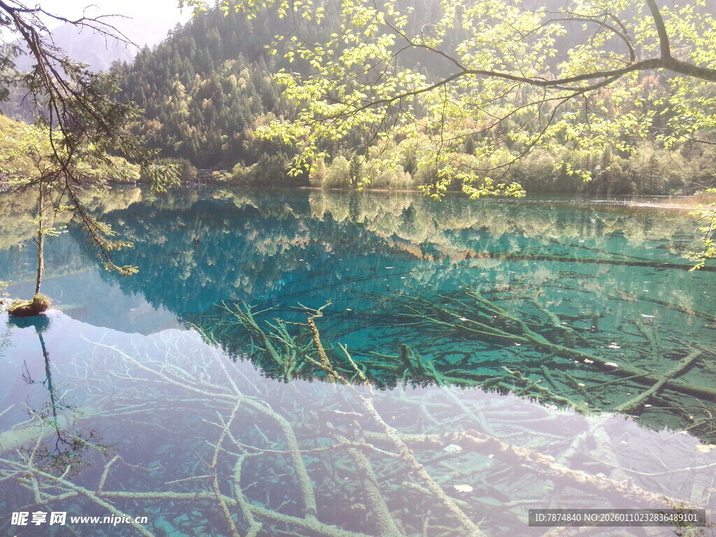 梦幻蓝绿湖水与倒映树木