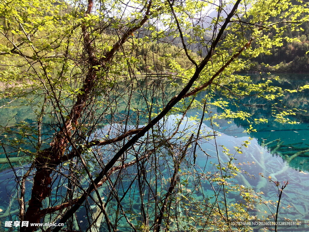 林间幽蓝湖水美景