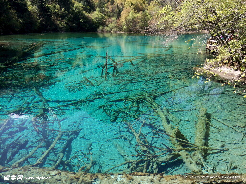 清澈蓝绿色的美丽水下世界