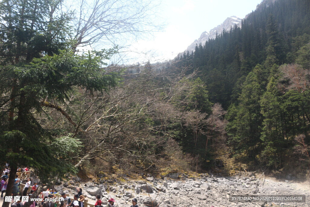 山间碎石路与葱郁林木