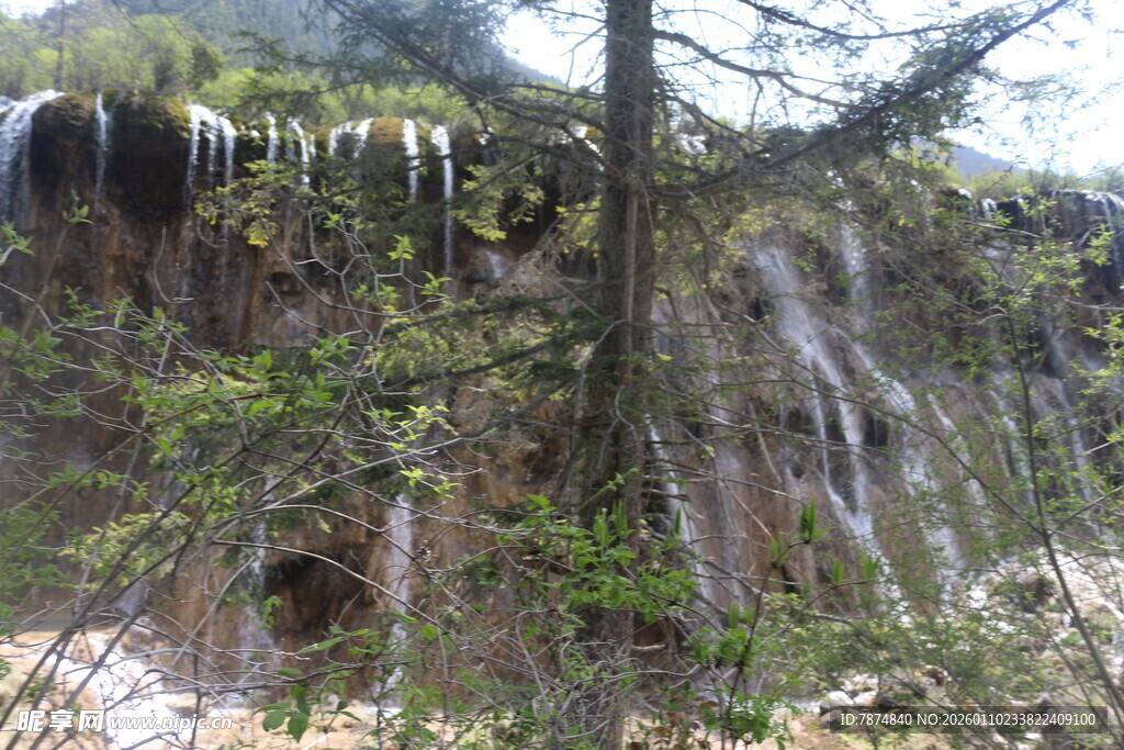 山间瀑布旁的葱郁树木