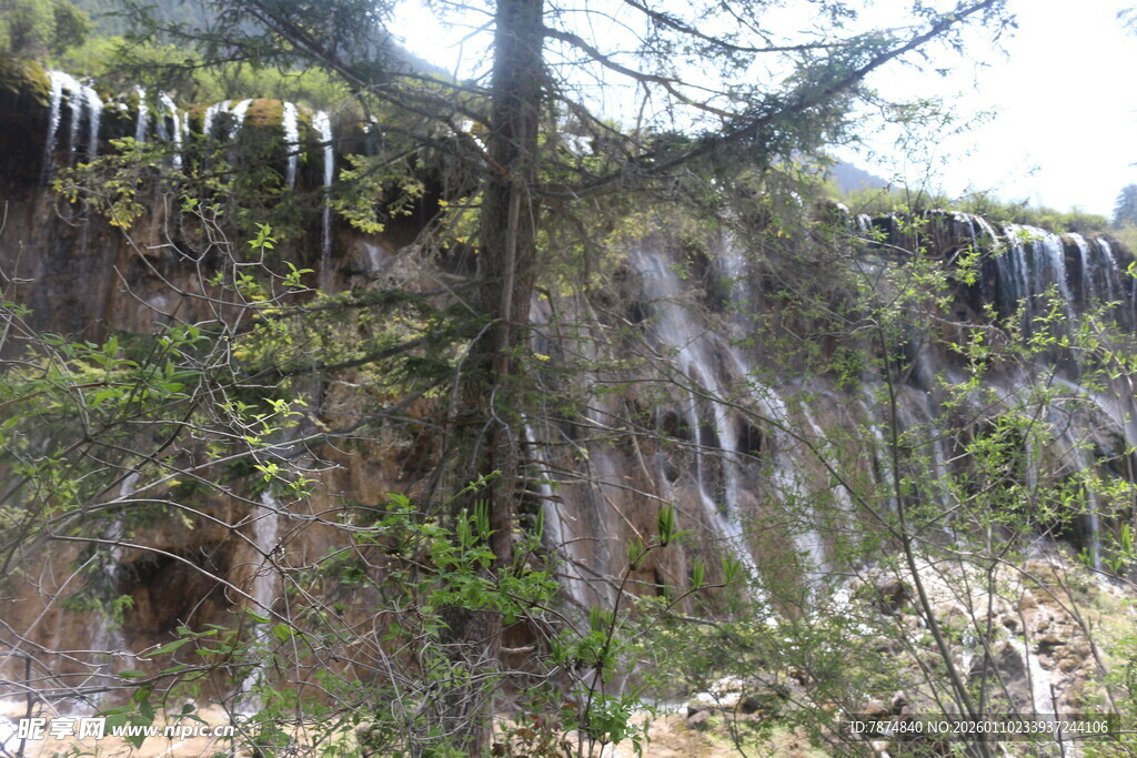 山间垂挂的绿色植物景观