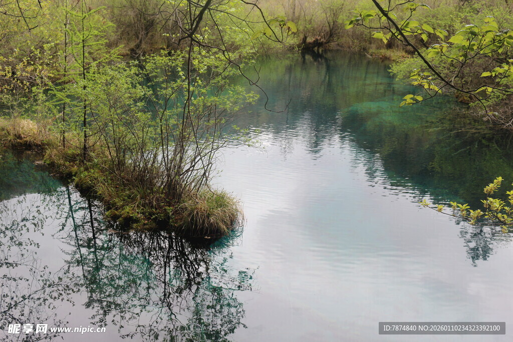 山间清澈溪流美景