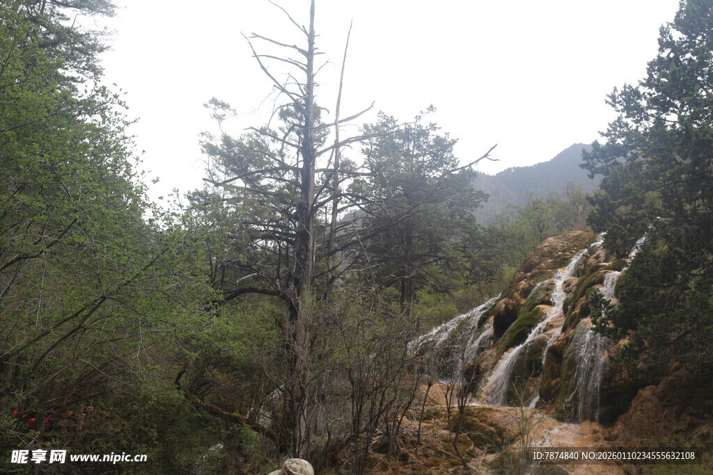 山间小径旁的树木与岩石