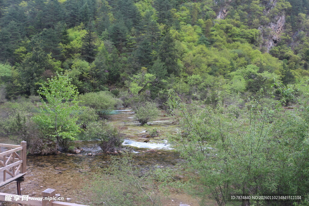 山间溪流畔的绿意景致