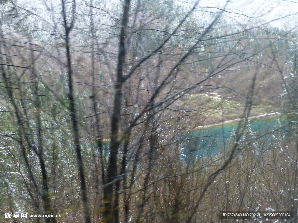 冬日树林中的朦胧彩虹