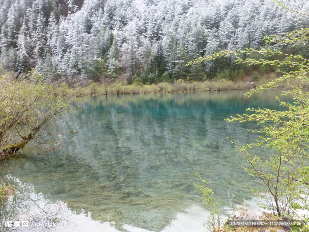 冬日静谧的清澈湖景